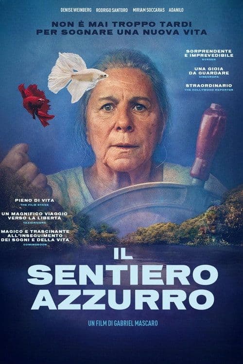 Il sentiero azzurro Il sentiero azzurro